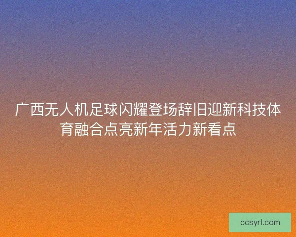 广西无人机足球闪耀登场辞旧迎新科技体育融合点亮新年活力新看点